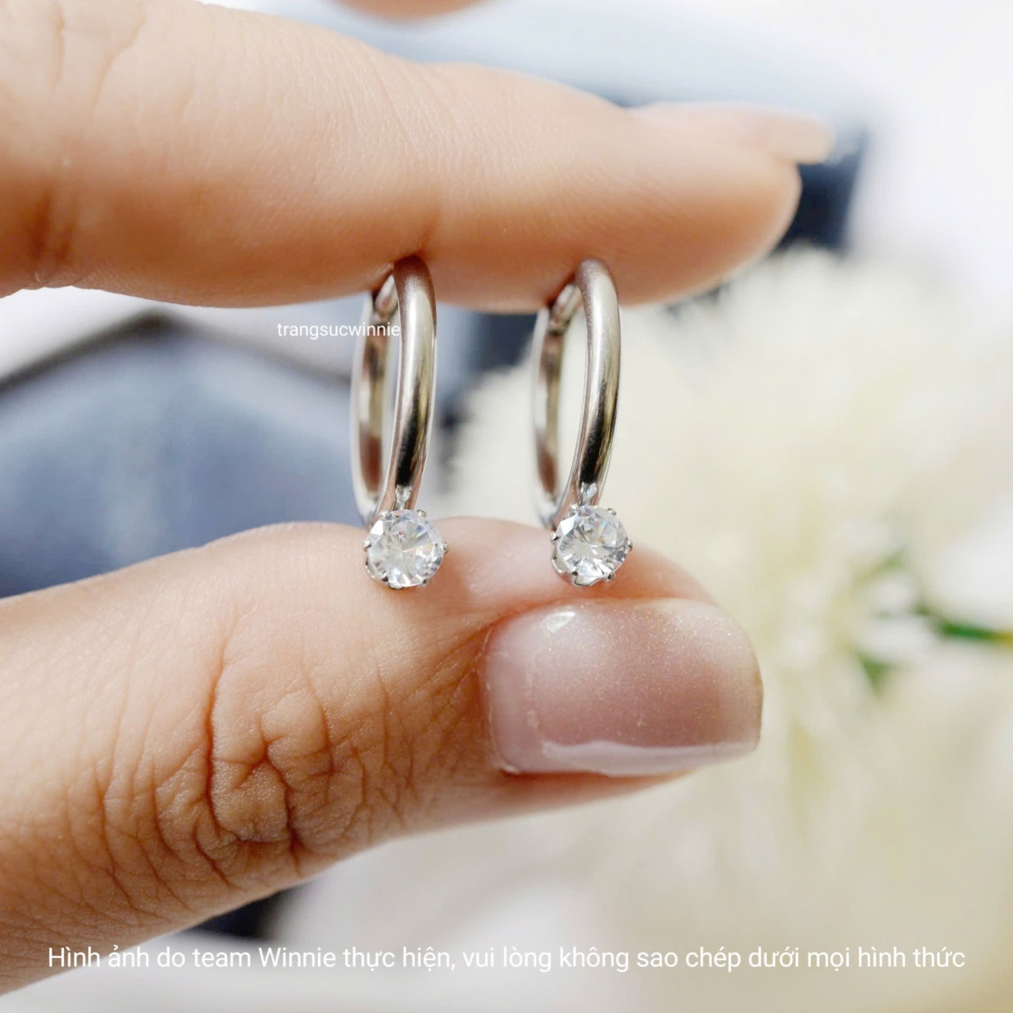  Hoa tai titan Jade B 