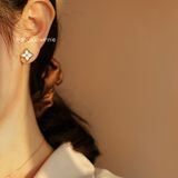  Hoa tai titan Louis Dia 