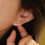  Hoa tai Bạc S925 Pink Bloom 