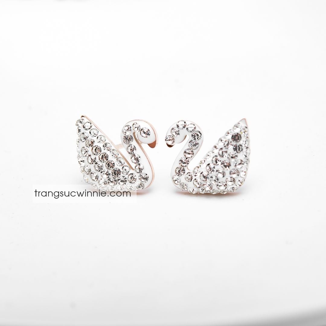  Hoa tai swan trắng 