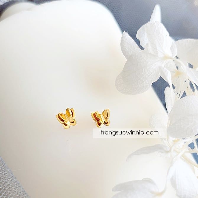  Hoa tai titan Tiny butterfly 