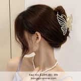  Kẹp tóc Bướm đá 