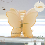  Kẹp tóc Bướm nhám 
