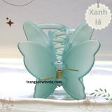  Kẹp tóc Bướm nhám 