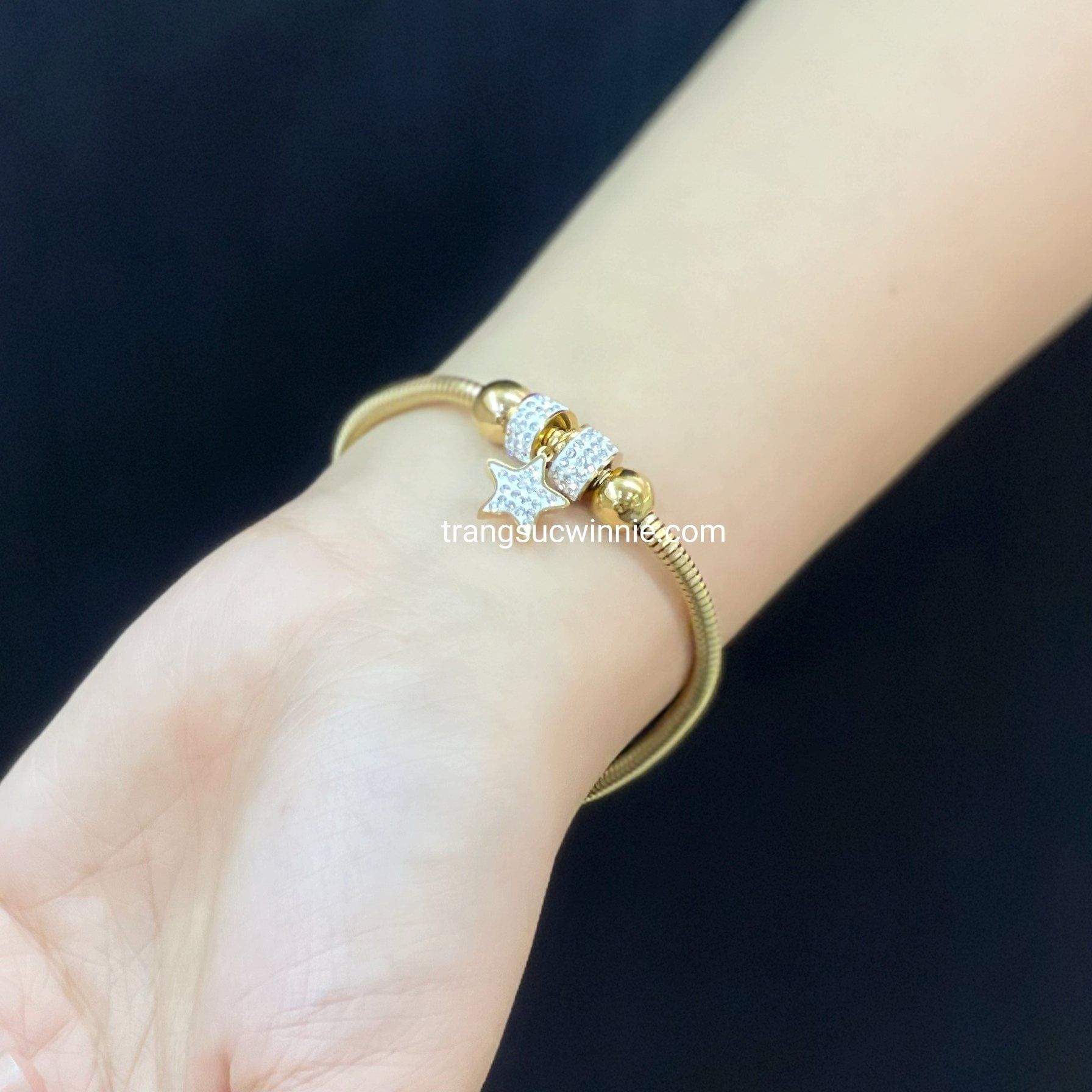  Lắc tay titan Naky charm 
