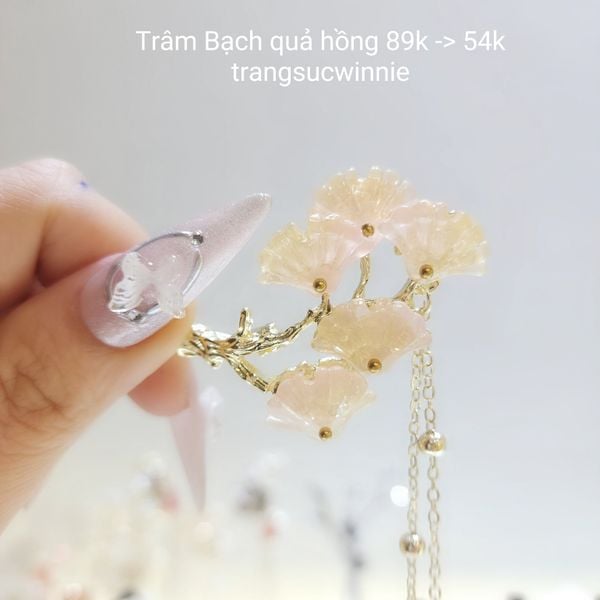  Trâm Bạch quả hồng 