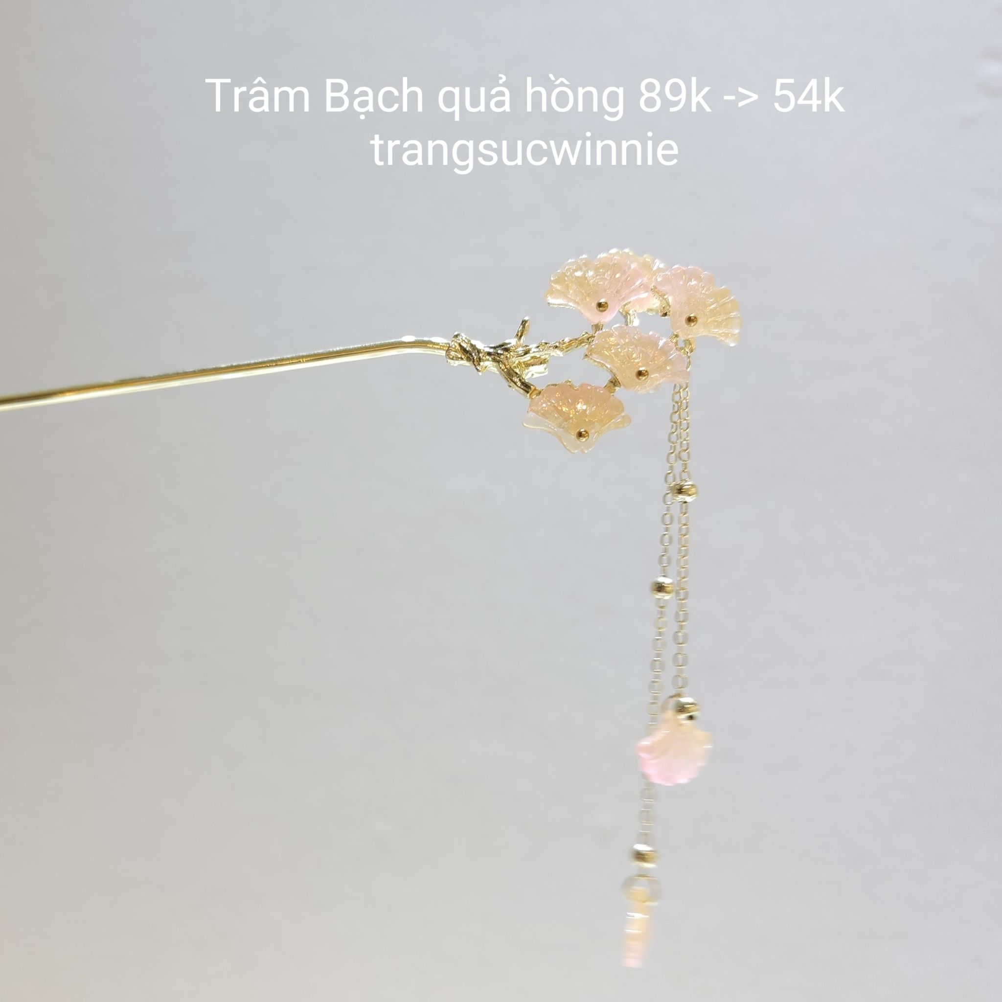  Trâm Bạch quả hồng 