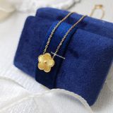  Dây chuyền titan Ngũ hoa 1 