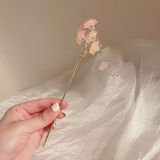  Trâm Bạch quả hồng 