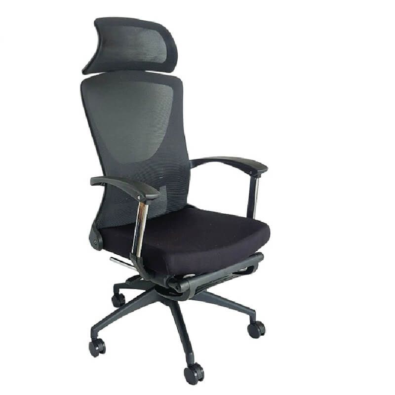 Ghế Công Thái Học GL333