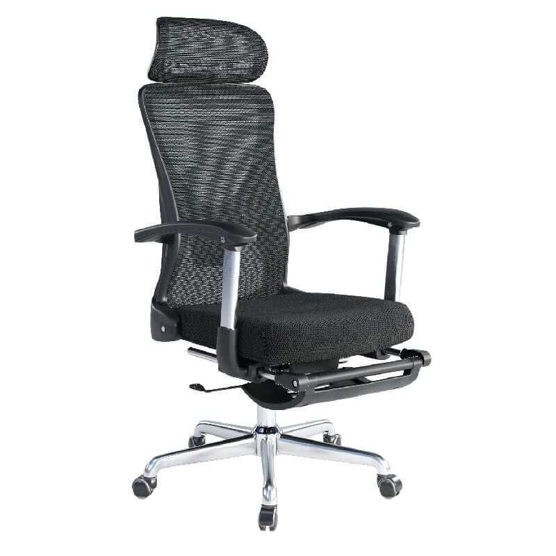 Ghế Công Thái Học GL333