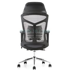 Ghế Công Thái Học GL312