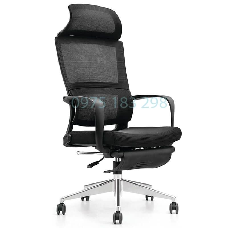 Ghế Công Thái Học GL313