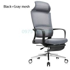 Ghế Công Thái Học GL313