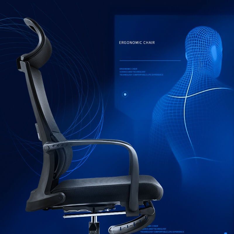 Ghế Công Thái Học GL313