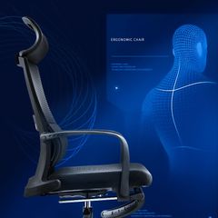Ghế Công Thái Học GL313