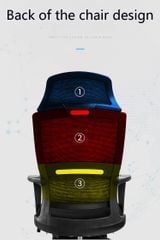 Ghế Công Thái Học GL313