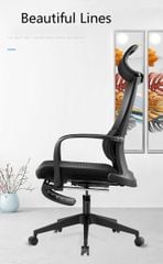 Ghế Công Thái Học GL313