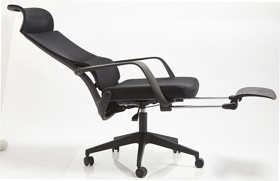Ghế Công Thái Học GL313