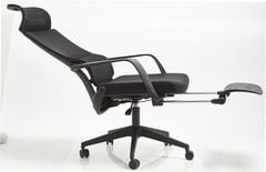 Ghế Công Thái Học GL313