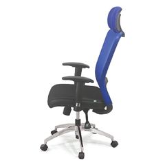 Ghế Công Thái Học GX239