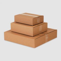 Thùng Carton 3-5 Lớp TCL03