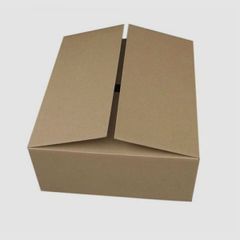 Thùng Carton 3-5 Lớp TCL01