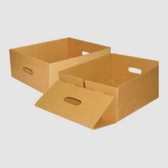 Thùng Carton 3-5 Lớp TCL06