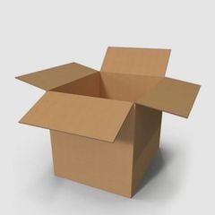 Thùng Carton 3-5 Lớp TCL10