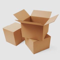 Thùng Carton 3-5 Lớp TCL09