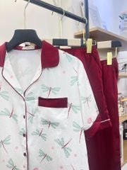 Combo Pijama Odonata Long Py Set (3pcs)