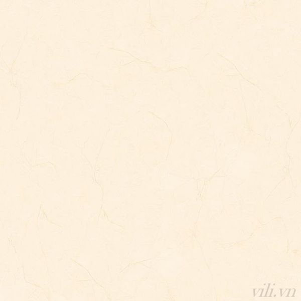Gạch lát nền 100X100 cm TASA 1147 cao cấp bóng