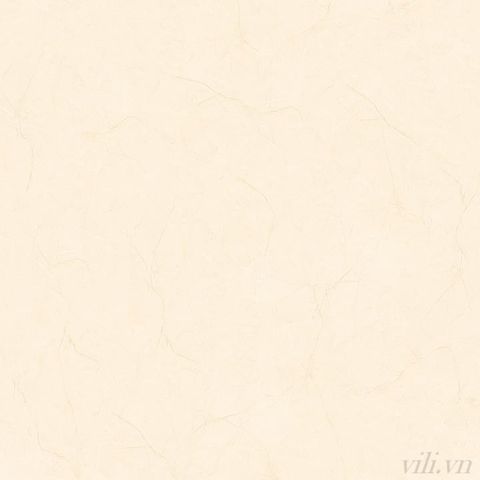 Gạch lát nền 100X100 cm TASA 1147 cao cấp bóng