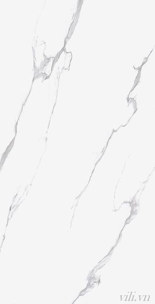 Gạch lát nền 60X120 TASA 1207 cao cấp bóng
