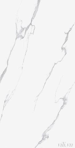 Gạch lát nền 60X120 TASA 1207 cao cấp bóng