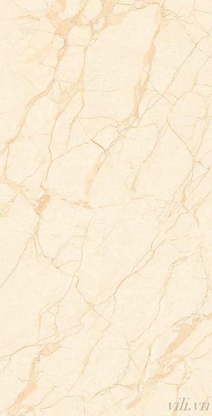 Gạch lát nền 60X120 TASA 1209  bóng vân vàng