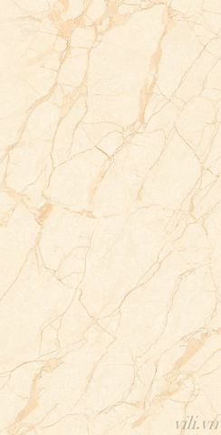 Gạch lát nền 60X120 TASA 1209  bóng vân vàng