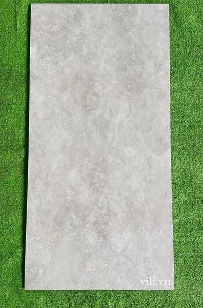 Gạch lát nền 60X120 Tasa 1253  đá mờ nhám xám xi măng
