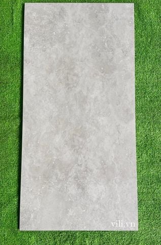 Gạch lát nền 60X120 Tasa 1253  đá mờ nhám xám xi măng