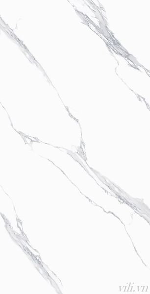 Gạch lát nền 60X120 TASA 1401 cao cấp bóng