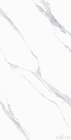 Gạch lát nền 60X120 TASA 1401 cao cấp bóng