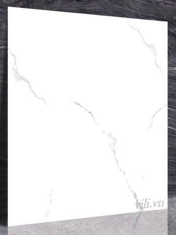 Gạch lát nền 60X60 STN 646 men bóng