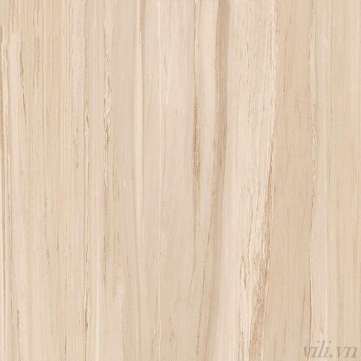 Gạch lát nền 100X100 cm BD 55004 vân gỗ cao cấp bóng