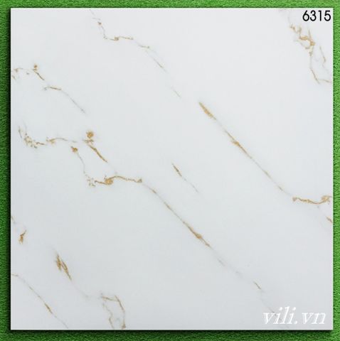 Gạch lát nền 60X60  World Tiles 6315 bóng