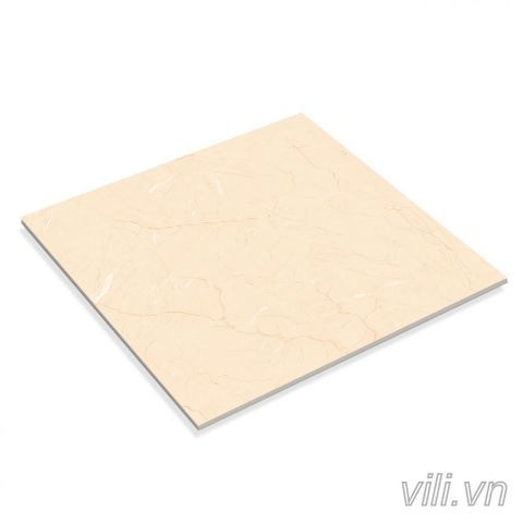 Gạch lát nền 60X60 Hoàn Mỹ 8023