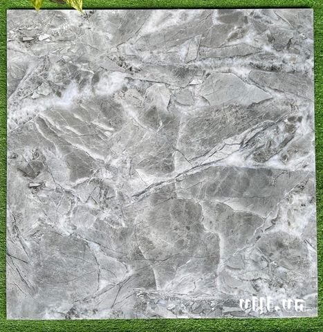 Gạch lát nền 80X80 Tasa 8264 đá bóng