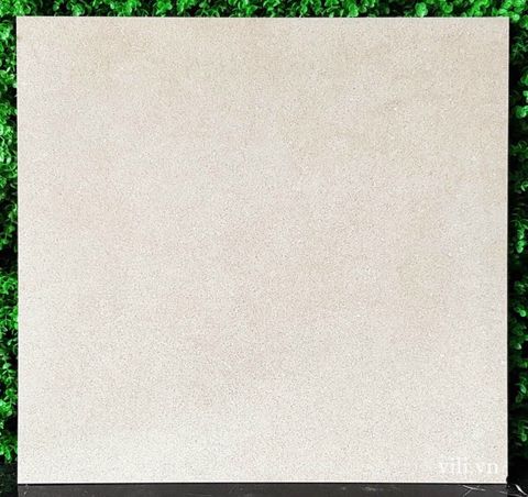 Gạch lát nền 60X60 Viglacera AZ5 - GM6603 đá mờ nhám