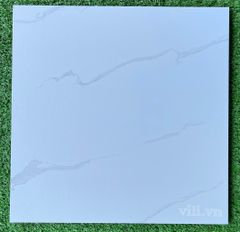 Gạch lát nền 30X30 Blue Dragon 11300 đá nhám