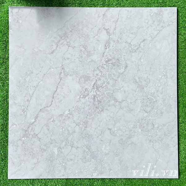 Gạch lát nền 60x60 Tasa TS5062 đá bóng