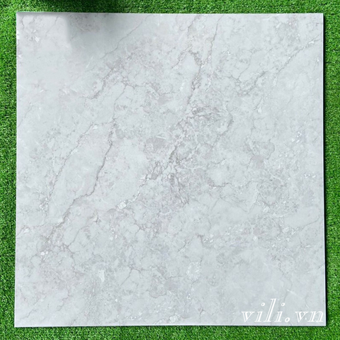 Gạch lát nền 60x60 Tasa TS5062 đá bóng